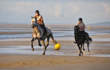 Les chevaux sur la plage de Cabourg