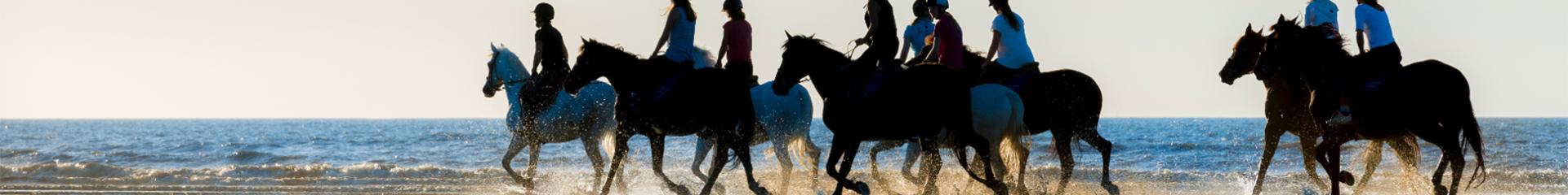 Les chevaux sur la plage de Cabourg